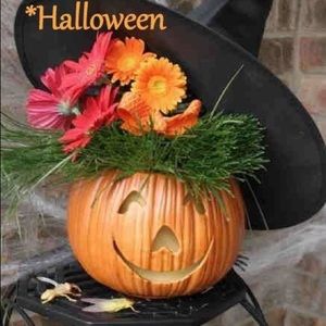 Meet your Posher, Hong